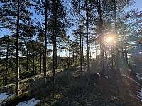 ØyvindBergkvam_20250314_67d3f00f68318.jpg