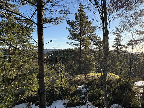 Jomfruås i Larvik
