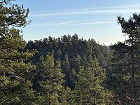 ØyvindBergkvam_20250314_67d3f01c879d3.jpg