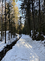 ØyvindBergkvam_20250315_67d5c70a45b7a.jpg