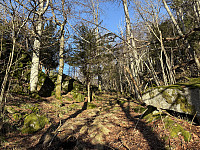 ØyvindBergkvam_20250315_67d5c70ee1427.jpg