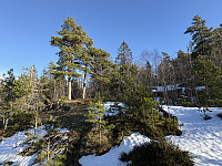 ØyvindBergkvam_20250315_67d5c713d8bc1.jpg