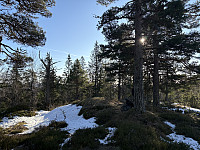 ØyvindBergkvam_20250315_67d5c71924570.jpg