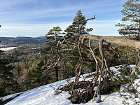 ØyvindBergkvam_20250315_67d5c720e5d3b.jpg