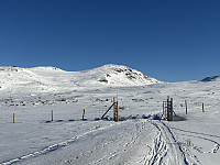 ØyvindBergkvam_20250316_67d67af8d0d9d.jpg
