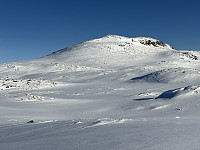 ØyvindBergkvam_20250316_67d67b1c97886.jpg