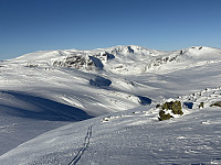 ØyvindBergkvam_20250316_67d67b23b3ae2.jpg