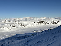ØyvindBergkvam_20250316_67d67b29c36b2.jpg