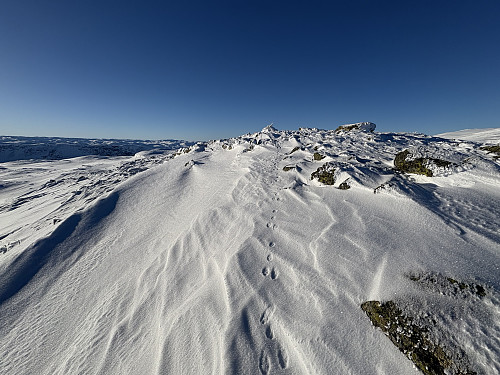 Breinosi Nord