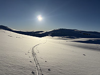 ØyvindBergkvam_20250316_67d67b453da76.jpg