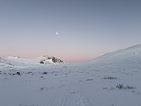 ØyvindBergkvam_20250316_67d67b639ecd4.jpg