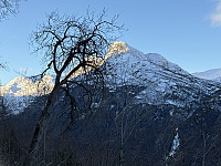 ØyvindBergkvam_20250317_67d82c94ec165.jpg