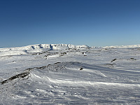 ØyvindBergkvam_20250317_67d82cb5688da.jpg