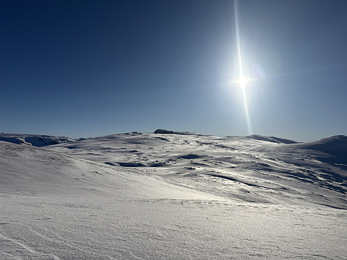 Ved Skorvi