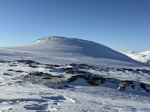 Roaldshovden