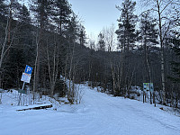 ØyvindBergkvam_20250317_67d86eb1038bc.jpg