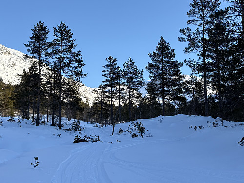 Skuterspor gjennom Øvsthusdalen
