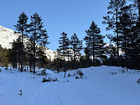 ØyvindBergkvam_20250317_67d86eb347146.jpg