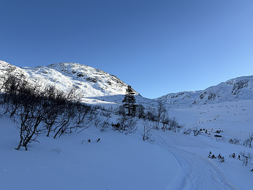 Snart over tregrensa
