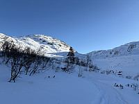ØyvindBergkvam_20250317_67d86eb4cf8dd.jpg