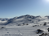 ØyvindBergkvam_20250317_67d86ecb72bba.jpg