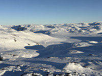 ØyvindBergkvam_20250317_67d86ef3106fa.jpg