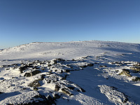 ØyvindBergkvam_20250317_67d86ef8140f5.jpg