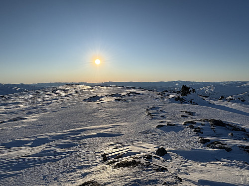 Skjerpisnuten 1480 moh