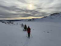 ØyvindBergkvam_20250317_67d875633660c.jpg