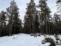 ØyvindBergkvam_20250318_67d9a8b55dcee.jpg
