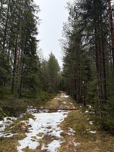 Stien opp til snuplassen var nesten fri for snø