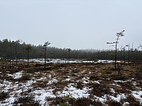 ØyvindBergkvam_20250318_67d9afbba78af.jpg
