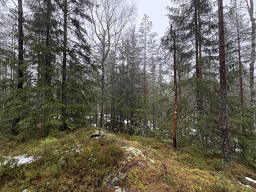 Kaståsen i Lillestrøm