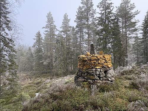 Riksrøys 33 Joarrøysa