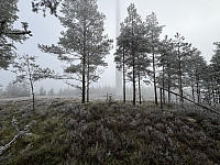 ØyvindBergkvam_20250323_67dfc7c821584.jpg