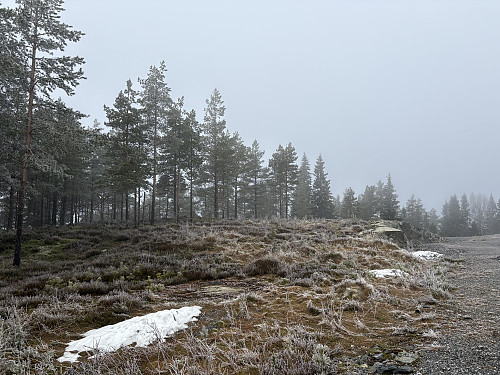 Det som er igjen av Joarrøysa i Marker