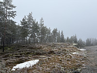 ØyvindBergkvam_20250323_67dfc7cfb8c6c.jpg