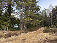 ØyvindBergkvam_20250323_67dfd01028f8a.jpg