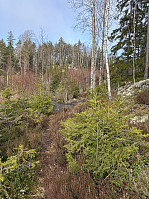 ØyvindBergkvam_20250323_67dfd01c2fde0.jpg