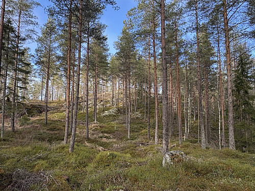 Sør for Hungervann
