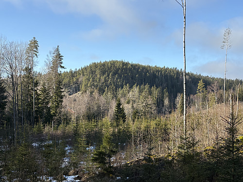 Borgåsen sett fra stien