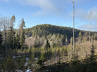 ØyvindBergkvam_20250323_67dfd02ef0c31.jpg