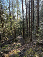 ØyvindBergkvam_20250323_67dfd03dcd068.jpg