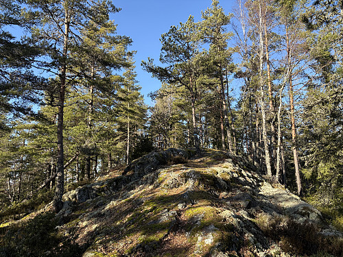 Borgåsen