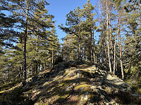 ØyvindBergkvam_20250323_67dfd04e6a43c.jpg