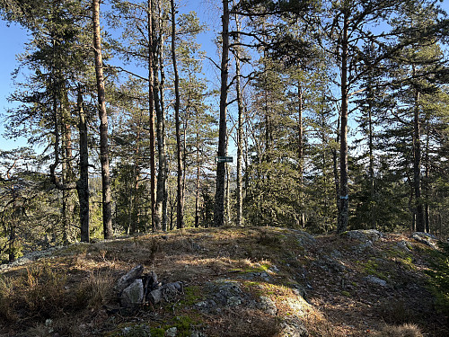 Borgåsen