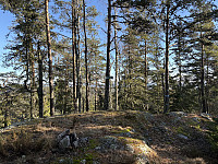 ØyvindBergkvam_20250323_67dfd05b099a9.jpg
