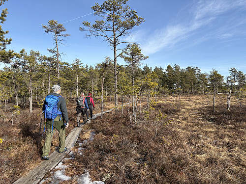 På kloppene innover mot gapahuken ved Breimåsan