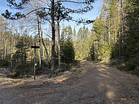 ØyvindBergkvam_20250323_67e01a39d39f7.jpg