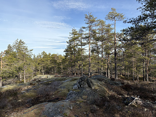 Hærfangen i Lillestrøm